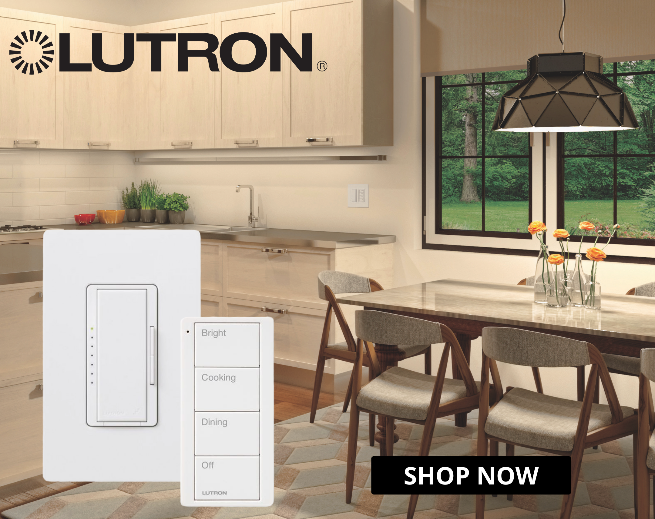 lutron RA 2