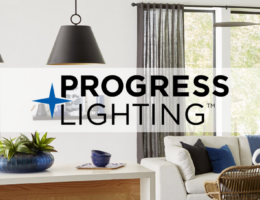 PROGRESS BLOG1
