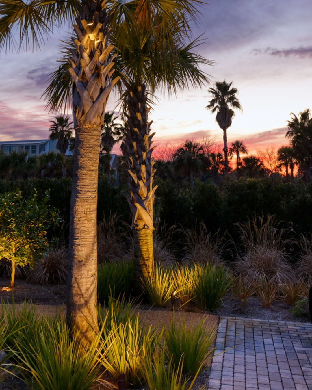 JPEG image 4F07 84E0 04 0