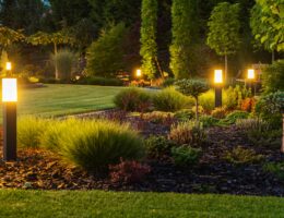 picture of beautiful backyard after exterior lighting installation at dusk