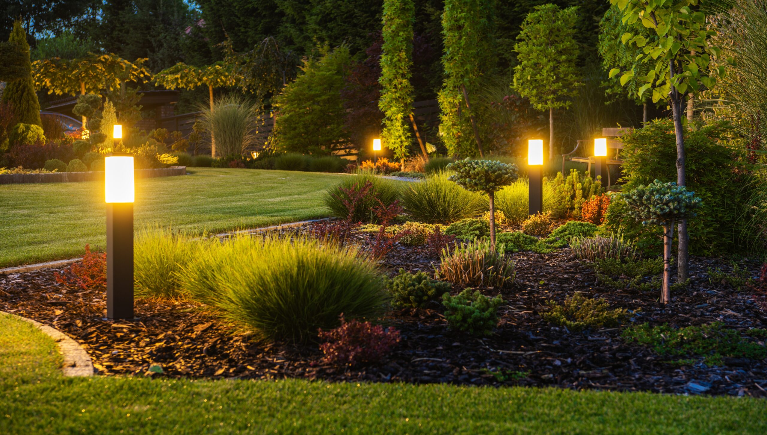 picture of beautiful backyard after exterior lighting installation at dusk