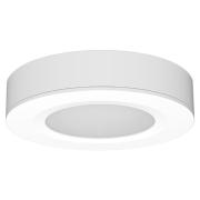 spkpl-puck-white-surface