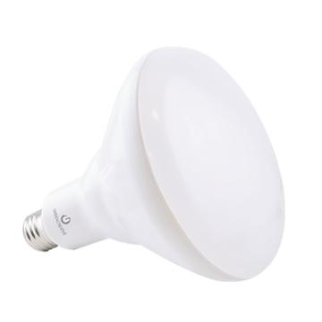 R/BR Lamps