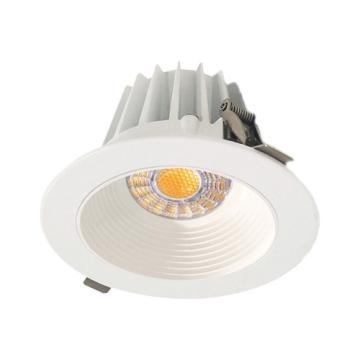 Economy LED Downlights