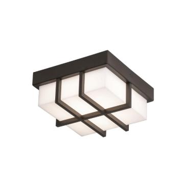 Outdoor Ceiling Lighting