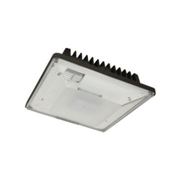 LED Garage / Canopy Fixtures
