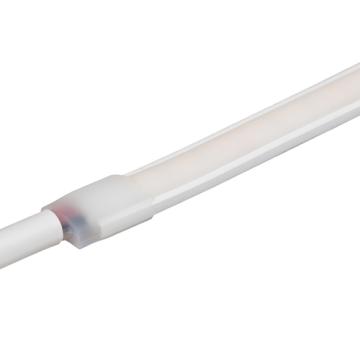 Neon Flexible Lighting