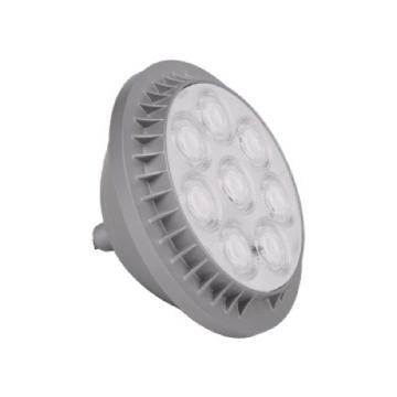 PAR56 Lamps