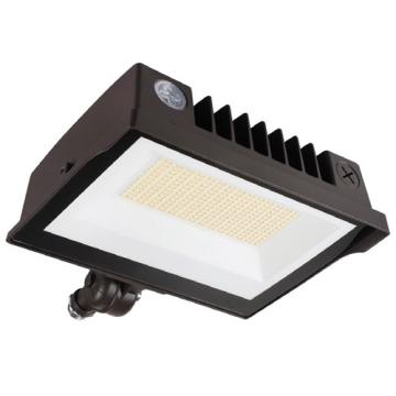LED Flood Lights