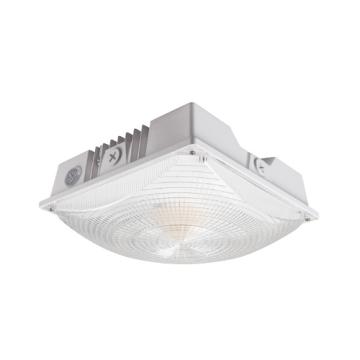 LED Garage / Canopy Lights