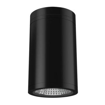 CD34 LED Surface Mount Cylinder Pendants