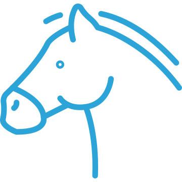 Equine Lighting