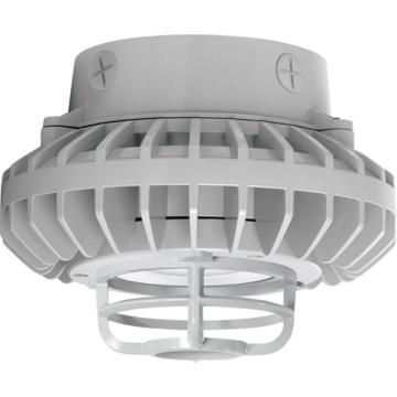 Hazardous Location Ceiling / Pendant Mount Fixtures