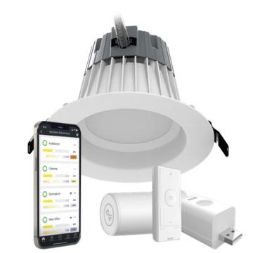 Lightcloud Blue LED Downlights