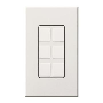 6 Port Frame