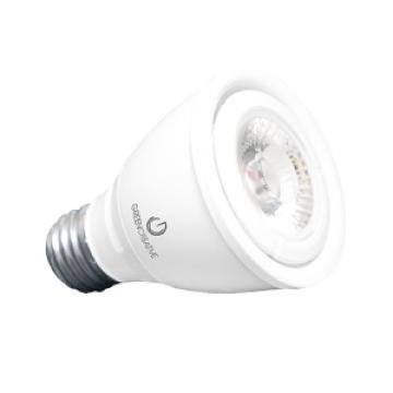 PAR20 Lamps