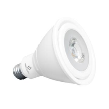 PAR30 Long Neck Lamps