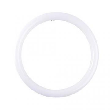 Circline Lamps