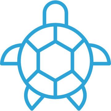 Turtle Friendly Lighting
