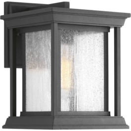 Progress Lighting Endicott 1-Light Small Outdoor Wall Lantern - 120V - Textured Black