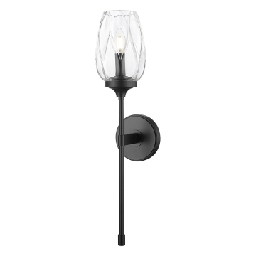 Z-Lite Cassian 1-Light Wall Sconce - 120V - Matte Black / Clear