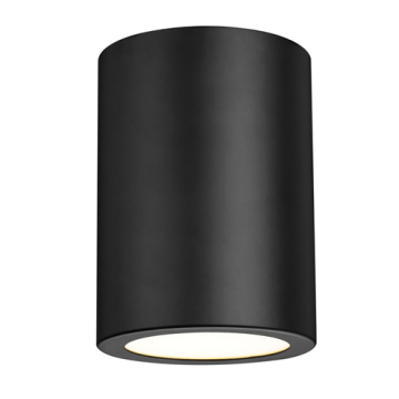 Z-Lite Harley 1-Light Flush Mount - 120V - Matte Black