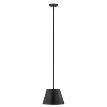 Z-Lite Lilly 12" 1-Light Pendant - 120V - Matte Black