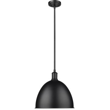 Z-Lite Sawyer 13" 1-Light Pendant - 120V - Matte Black