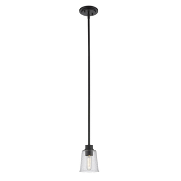 Z-Lite Bohin 1-Light Pendant - 120V - Matte Black