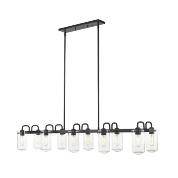 Z-Lite Delaney 10-Light Linear Chandelier - 120V - Matte Black