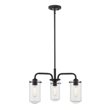 Z-Lite Delaney 3-Light Chandelier - 120V - Matte Black