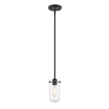 Z-Lite Delaney 1-Light Pendant - 120V - Matte Black