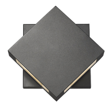 Z-Lite Quadrate 9" 2-Light LED Outdoor Wall Sconce - 2700K - 120V - Black