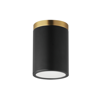 Maxim Lighting Dapper 1-Light Flush Mount - 800 Lumens - 3000K - 120V - Black / Antique Brass - White Glass