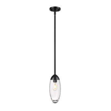 Z-Lite Arden 1-Light Pendant w/ Down Rod - 120V - Matte Black