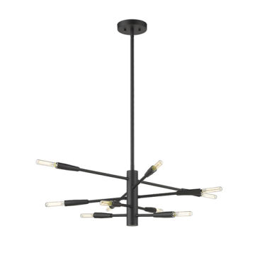 Z-Lite Ascension 10-Light Chandelier - 120V - Matte Black