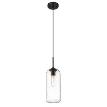 Z-Lite Monty 17" 1-Light Pendant - 120V - Matte Black / Seedy