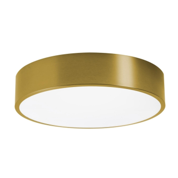 AFX Bailey 12" LED Flush Mount - 2,000 Lumens - 20W - CCT Selectable - 120-277V - Light Antique Brass