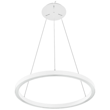 RAB BOA Ring Single Ring Up/Downlight LED Pendant - 7,779 Max Lumens - 18 | 30 | 36 | 42 | 60W - CCT Selectable - 3 ft - White - 120-277V