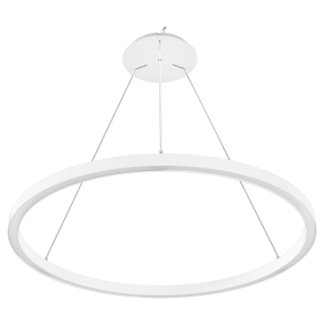 RAB BOA Ring Single Ring Downlight LED Pendant - 10,226 Max Lumens - 24 | 40 | 48 | 56 | 80W - CCT Selectable - 4 ft - White - 120-277V
