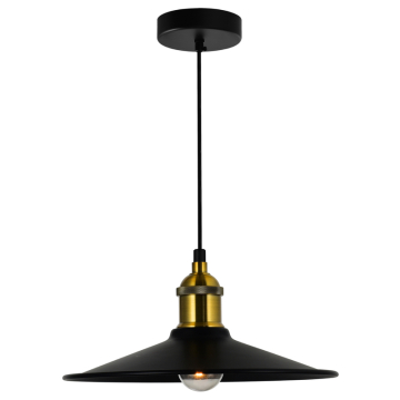 CWI Lighting Brave 10" 1-Light Mini Pendant - 120V - Black