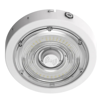 Westgate CXER LED Round Canopy Light - 30 | 40 | 50W - CCT Selectable - 120-277V - White