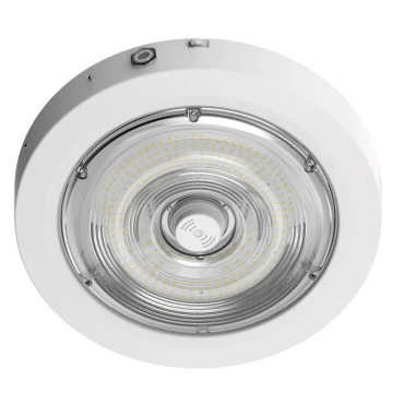 Westgate CXER LED Round Canopy Light - 40 | 60 | 80W - CCT Selectable - 120-277V - White