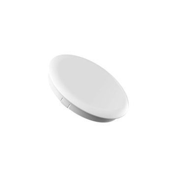 DALS Replacement Frosted Lens for DCP-SPT6 Path Light