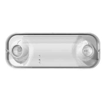 RAB High Lumen Outdoor LED Cold Weather Emergency Light - MR16 Lamps - 120/277V