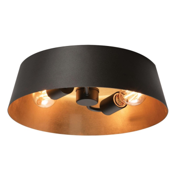 AFX Lyric 2-Light Flush Mount - 120V - Black