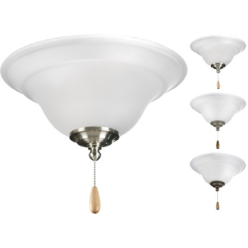 Progress Lighting Trinity 2-Light Ceiling Fan Light Kit