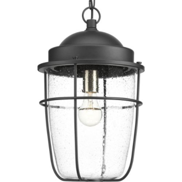 Progress Lighting Holcombe 1-Light Hanging Lantern - 120V - Textured Black