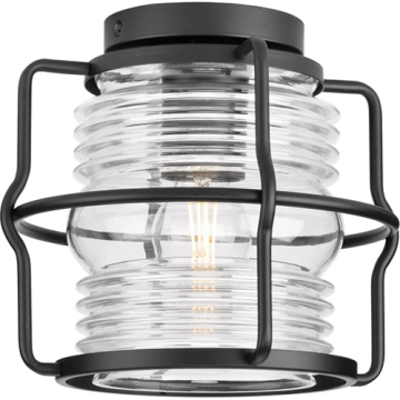 Progress Lighting Keegan 1-Light Clear Glass Outdoor Flush Mount Light - 120V - Matte Black