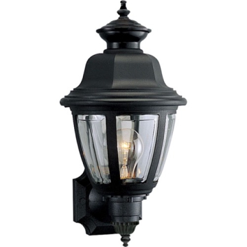 Progress Lighting Non-Metallic 1-Light Outdoor Wall Lantern - 120V - Textured Black